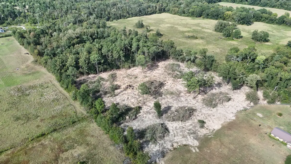 whisehunt excavation image 13