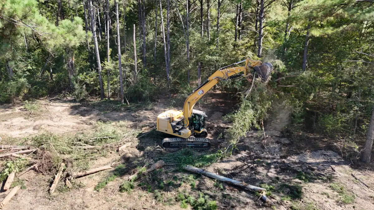 whisehunt excavation image 15